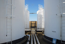 Don't Forget the Role Automatic Stabilizers Can Play