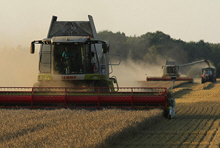 Commodity Prices Buoyant in Year of Crisis, Recovery 