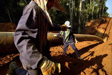 All About Goals as Africa Shows Signs of Recovery 