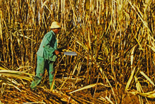 IMF Shocks Loan, Policy Changes Help Kenya's Recovery 