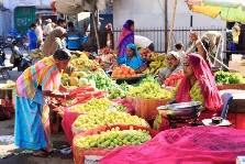 India Rebounds, Needs to Return to Reform Agenda