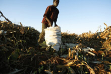 Malawi's New IMF Loan Boosts Prospects for Sustained Growth 