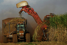 Larger Latin American Countries Face Major Capital Inflows 