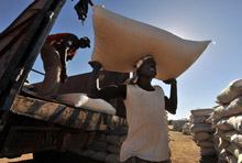 Senegal Well Positioned to Regain Growth Momentum