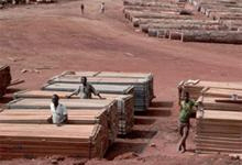 Liberia Wins $4.6 Billion in Debt Relief from IMF, World Bank 