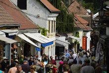 Worst Outcome Was Avoided in Emerging Europe, New IMF Study Finds 