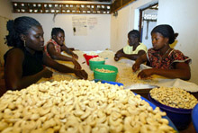 IMF, World Bank Back $1.2 Billion Debt Relief for Guinea-Bissau 