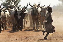 New Rules For Access to Low-cost Loans