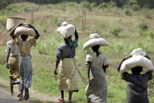 Crisis Puts Millennium Development Goals Further at Risk 