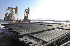 Open Markets Would Support Rebound in Trade in 2010 