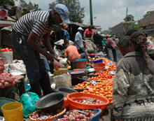 Sub-Saharan Africa's Recovery Maintains Momentum 