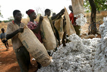 Africa Should Cut Reliance on Commodity Exports—Ministers