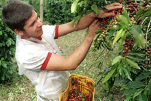 IMF Approves $6.2 Billion Credit Line for Colombia 