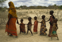 IMF to Host Seminar on Impact of Commodity Price Volatility 