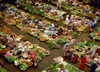 Asian Growth Faces Headwinds From Global Uncertainty 