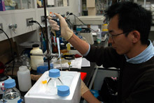 IMF Weighs in on Health Care Reform 