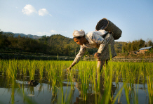 Myanmar Set for Economic Takeoff With Right Policies