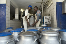 Zambia Needs Fewer Obstacles to Job-intensive Growth