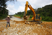 Central African Currency Union Targets Closer Regional Ties 