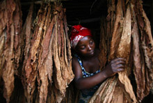 IMF Lends Malawi $156 Million to Help Boost Foreign Reserves 