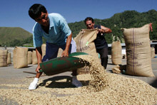 Low-income Countries Remain Vulnerable in Global Downturns 