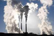 IMF Sets Path for Sustainable Development 