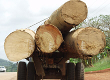 IMF Gathers Ideas on Best Use of Natural Resources 