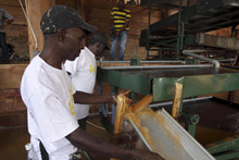 Workers at gold processing plant in Saramacca District, Suriname, where most of the production is for export (photo: Ranu Abhelakh/Reuters/Newscom) 