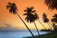 Beach on Antigua and Barbuda—member of the world’s smallest currency union which uses the Eastern Caribbean dollar (photo: Michele Falzone/JAI/Corbis) 