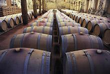 Wine cellar in Capian in southwestern France. In 2013 the city of Dijon in France sold off half of its municipal wine cellar to help fund social spending. (photo: Newscom) 