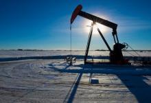 (photo: Corey Hochachka/Newscom) 