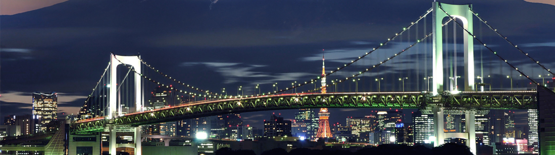 Tokyo Tax Conference