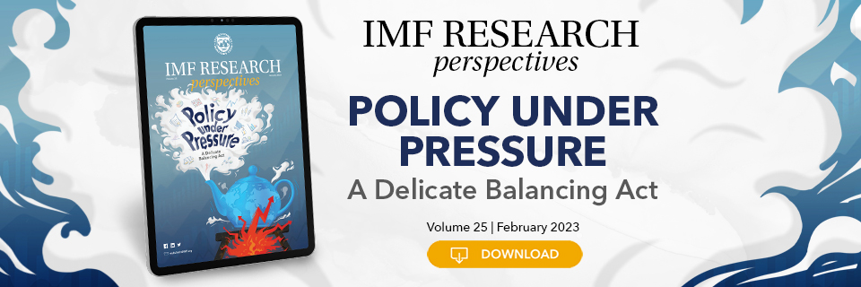 IMF Research Perspective