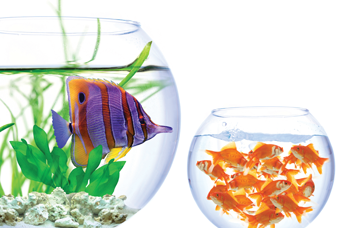 《金融与发展》2011年9月号