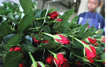 Finance &Development December 2012