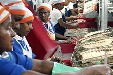 Usine de transformation du poisson &agrave; Port Louis, Maurice. Une augmentation de la productivit&eacute; est capitale pour permettre aux petits pays &agrave; revenu interm&eacute;diaire d&rsquo;&ecirc;tre comp&eacute;titifs sur le plan international (photo du FMI) 