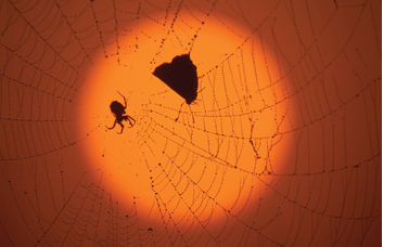 ファイナンス＆ディベロップメント 2012年　9月