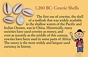 Cowrie Shell Money