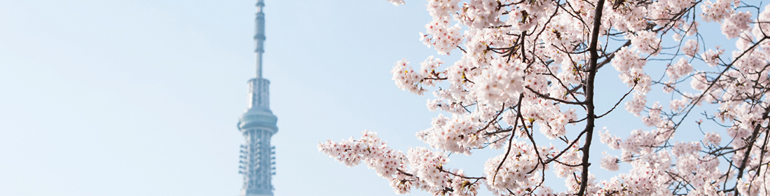 The Sixth IMF-Japan High-Level Tax Conference for Asian Countries