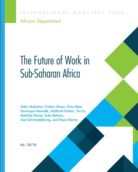 The Future of Work in Sub-Saharan Africa book cover
