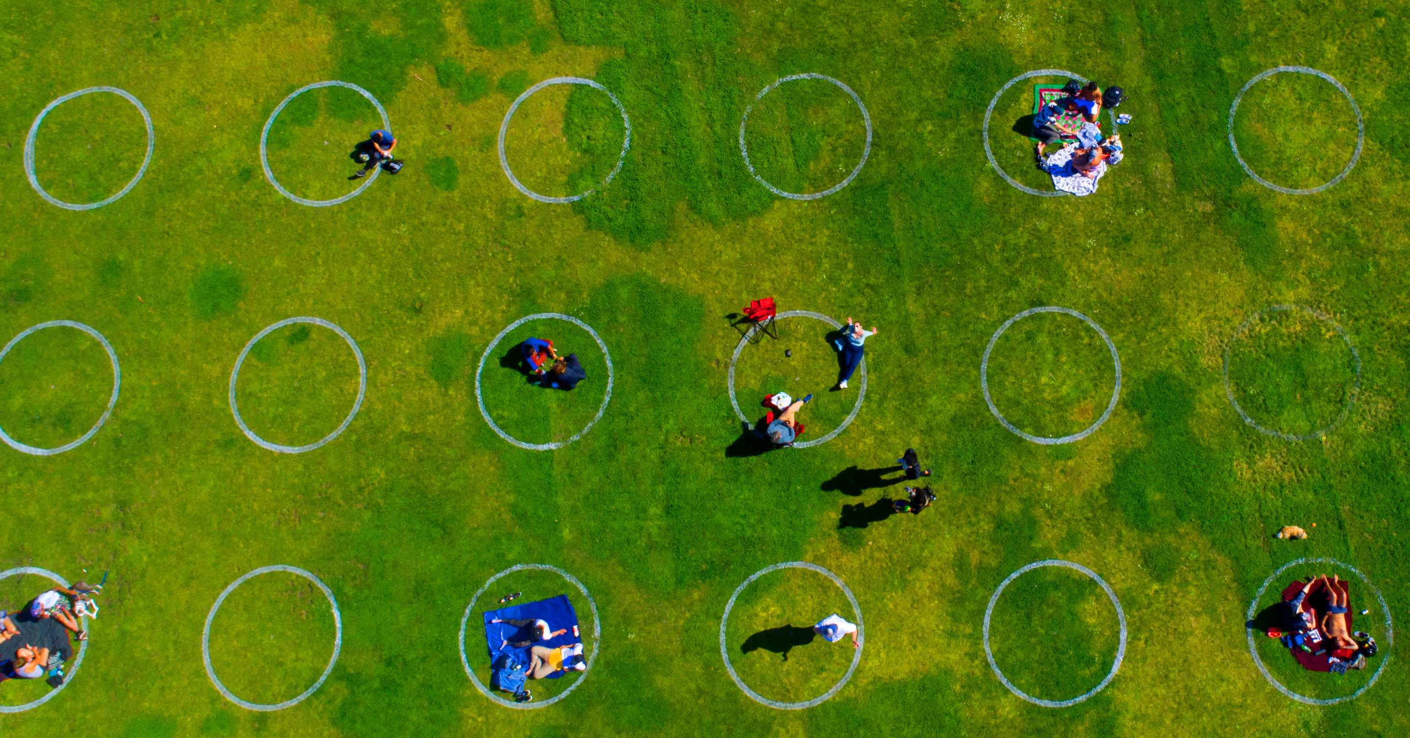 An aerial view of a park with groups of people sitting in circles spaced six feet apart