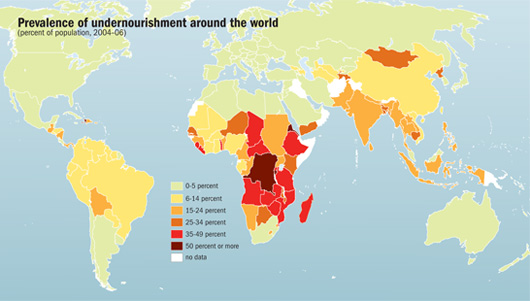 Prevalence of undernourishment around the world