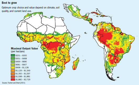 Chart: The Countries Most Affected by Land Grabs