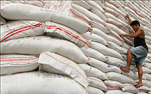 Worker climbs down sacks of rice in National Food Authority warehouse, Taguig, Philippines.