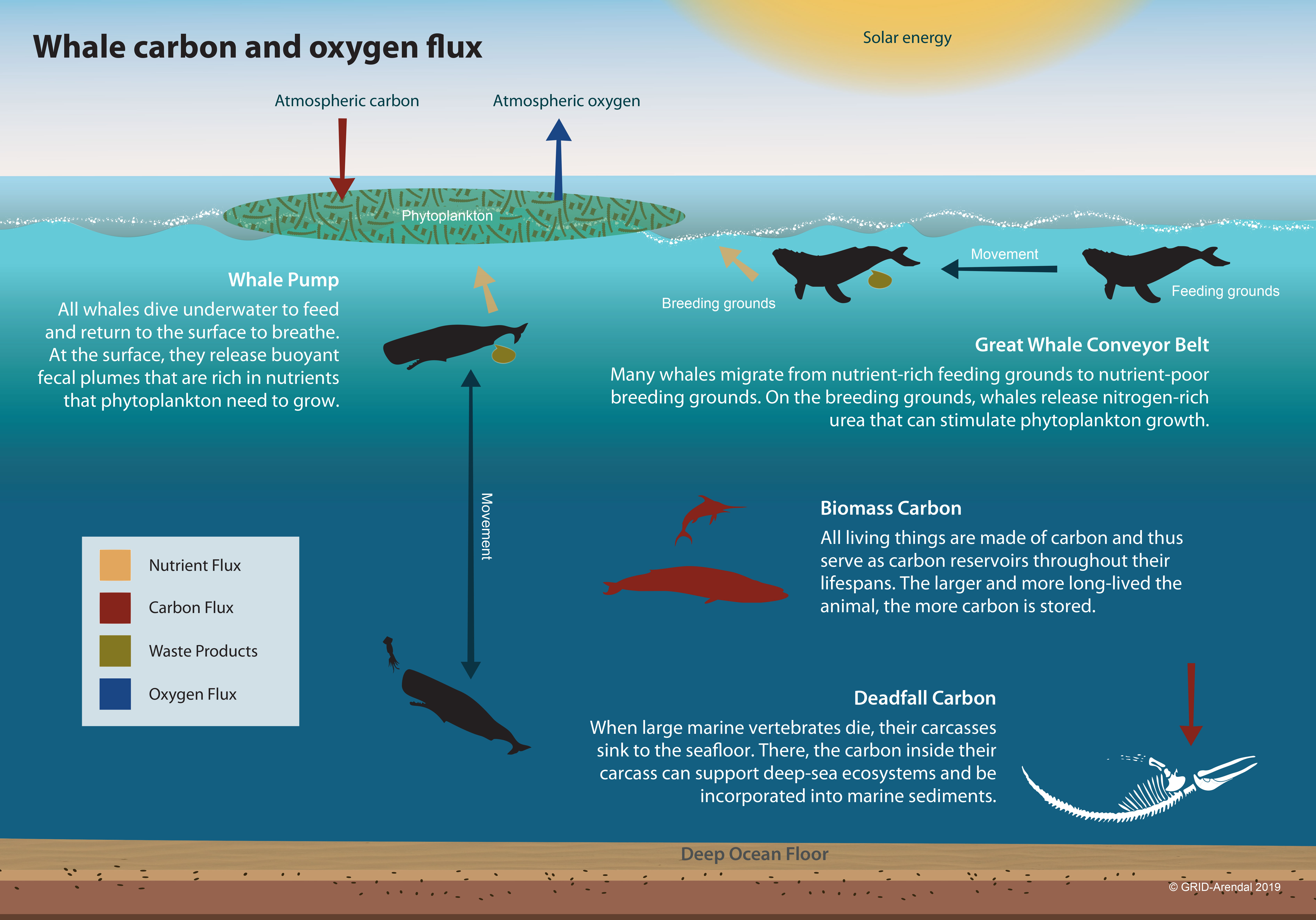 Nature&amp;#39;s Solution to Climate Change – IMF F&amp;D