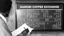 Le Kenya a procd  la premire adjudication de caf par l’Internet en Afrique.