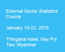 External Sector Statistics Course
