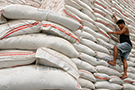 Рабочий спускается по мешкам с рисом на складе Национального управления продовольствия в Тагиге (Филиппины).