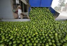 Trabajador en una planta en Cuatro Ca&ntilde;adas, Bolivia. El fin del auge de las materias primas ha generado dificultades para Bolivia (foto David Mercado/Reuters/Newscom) 