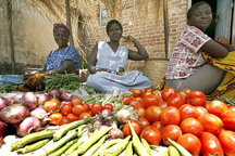 Coping With Food Price Increases in Sub-Saharan Africa 